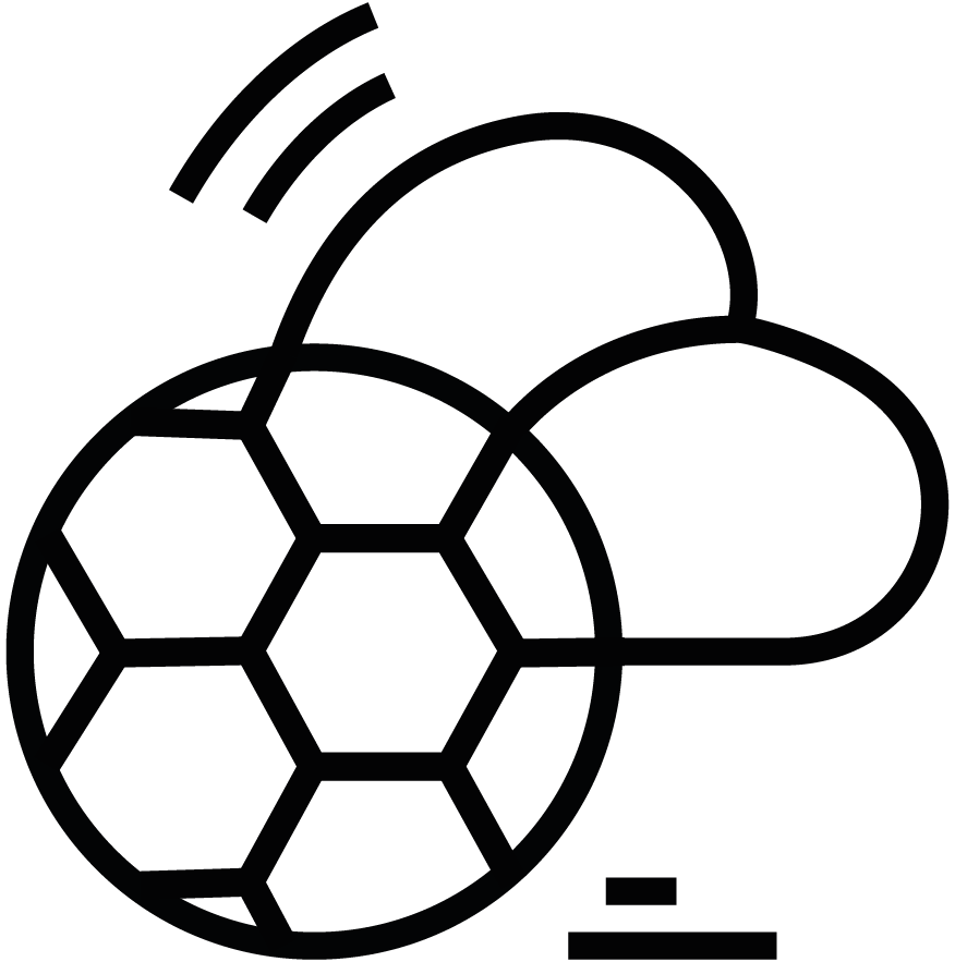 Icon Beyond the Buzz